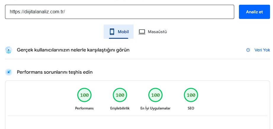 seo, Page Speed Test result.